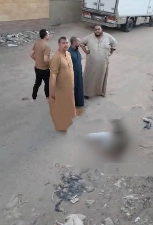 لحظات رعب أعلى دائري مسطرد.. أتوبيس طائش يحصد أرواح الأبرياء أخبار مصر - لحظات رعب أعلى دائري مسطرد.. أتوبيس طائش يحصد أرواح الأبرياء