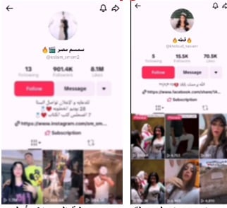 أخبار مصر - كمين التيك توك.. سقوط "سمسم مصر" وزوجته "قطة" في قبضة الأمن