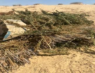أخبار مصر - بـ795 مليون جنيه.. ضربة جديدة للداخلية تسقط 26 طن مخدرات بالإسماعيلية