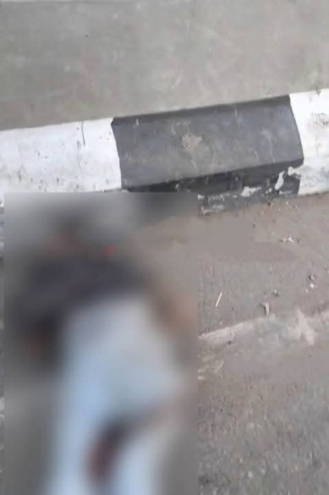 أخبار مصر - لحظات رعب أعلى دائري مسطرد.. أتوبيس طائش يحصد أرواح الأبرياء
