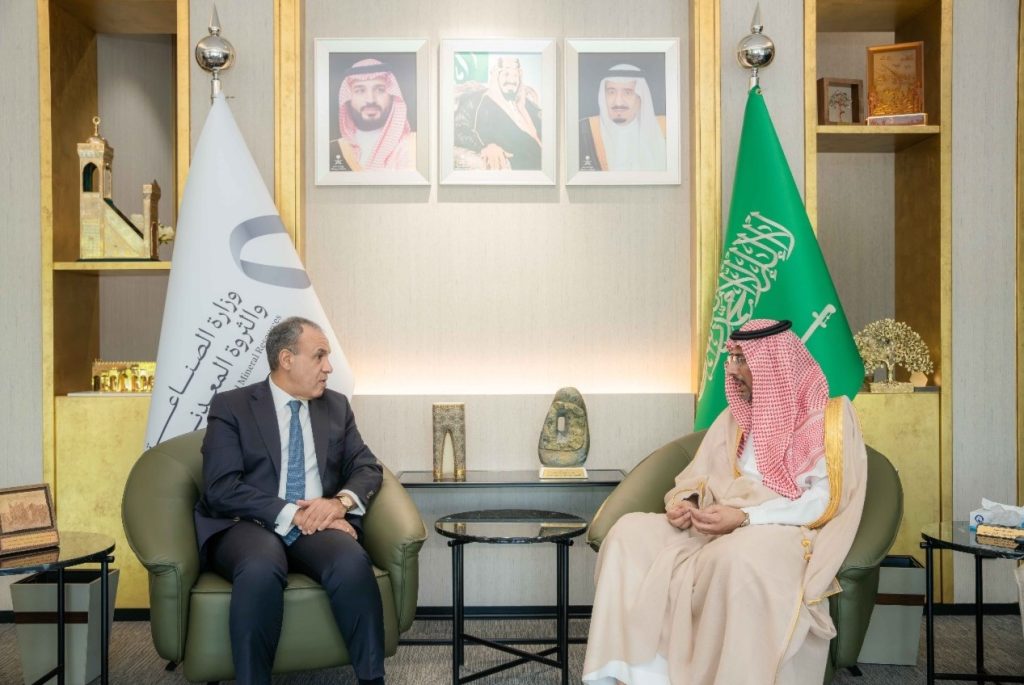أخبار مصر - «صناعة السيارات والأدوية» تتصدر مباحثات وزير الخارجية مع وزير الصناعة السعودي