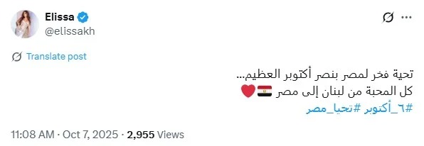 محطة مصر نيوز - إليسا تعبّر عن حبها لمصر في ذكرى أكتوبر