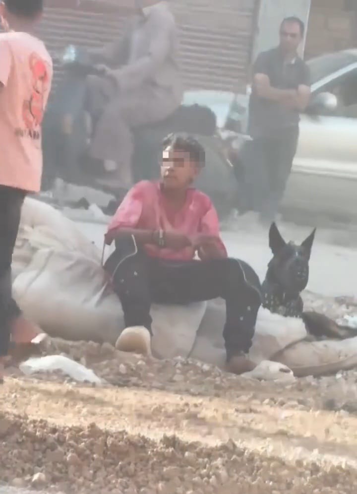 أدهم والكلب.. سقوط أصغر تاجر مخدرات في قبضة مباحث شبرا الخيمة أخبار مصر والعالم لحظة بلحظة - أدهم والكلب.. سقوط أصغر تاجر مخدرات في قبضة مباحث شبرا الخيمة