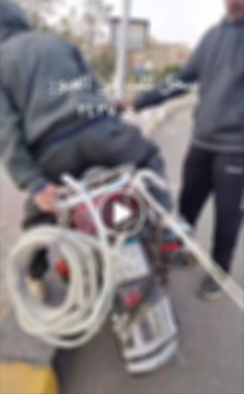 أخبار مصر - امن القليوبية يكشف القصة الكاملة ويضبط المتهم ونجله بسحل كلب في العبور