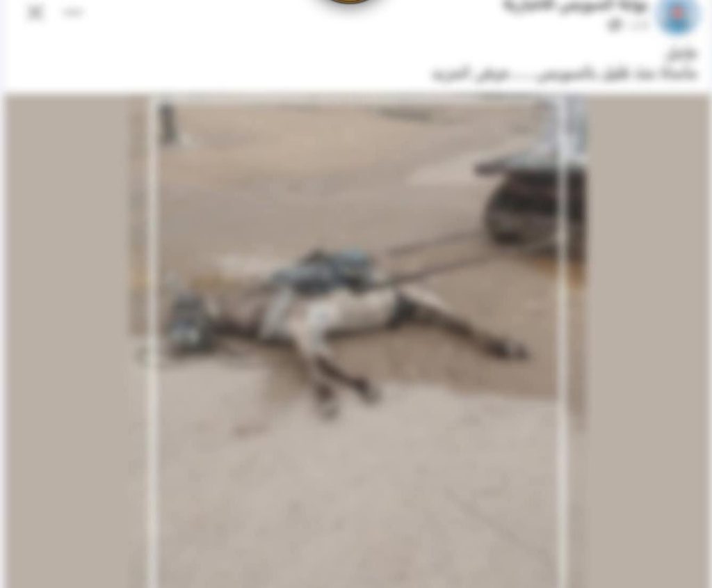 أخبار مصر والعالم لحظة بلحظة - نفوق دابة بصعق كهربائي في السويس.. والتحريات تنفي شبهة سرقة التيار