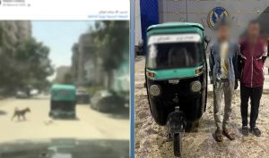محطة مصر نيوز - ضبط سائق “توك توك” لجرّه كلبًا نافقًا في شوارع القاهرة.. وكشف ملابسات الواقعة