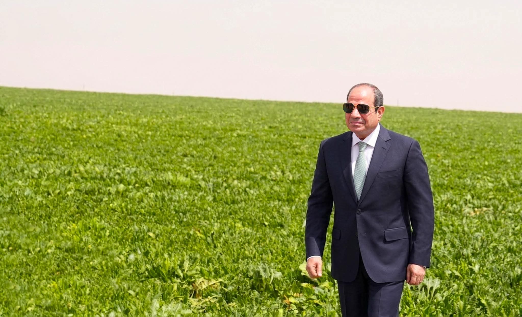 أخبار مصر والعالم لحظة بلحظة - السيسي يفتتح مشروع الدلتا الجديدة بمحور الشيخ زايد.. ويوجه رسالة فخر للمصريين بحجم الإنجاز