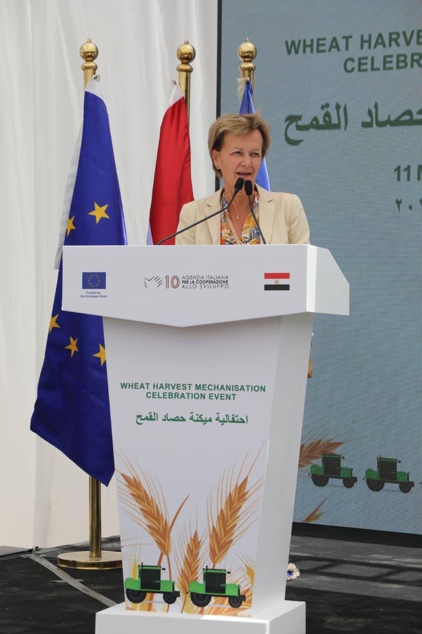أخبار مصر والعالم لحظة بلحظة - وزير الزراعة ومحافظ البحيرة يشهدان احتفالية ميكنة حصاد القمح بالمحافظة بحضور سفيرة الاتحاد الأوروبي