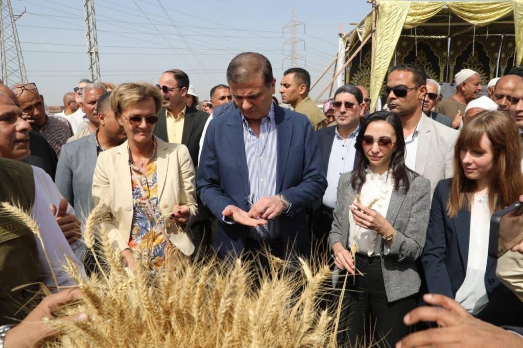 أخبار مصر والعالم لحظة بلحظة - وزير الزراعة ومحافظ البحيرة يشهدان احتفالية ميكنة حصاد القمح بالمحافظة بحضور سفيرة الاتحاد الأوروبي