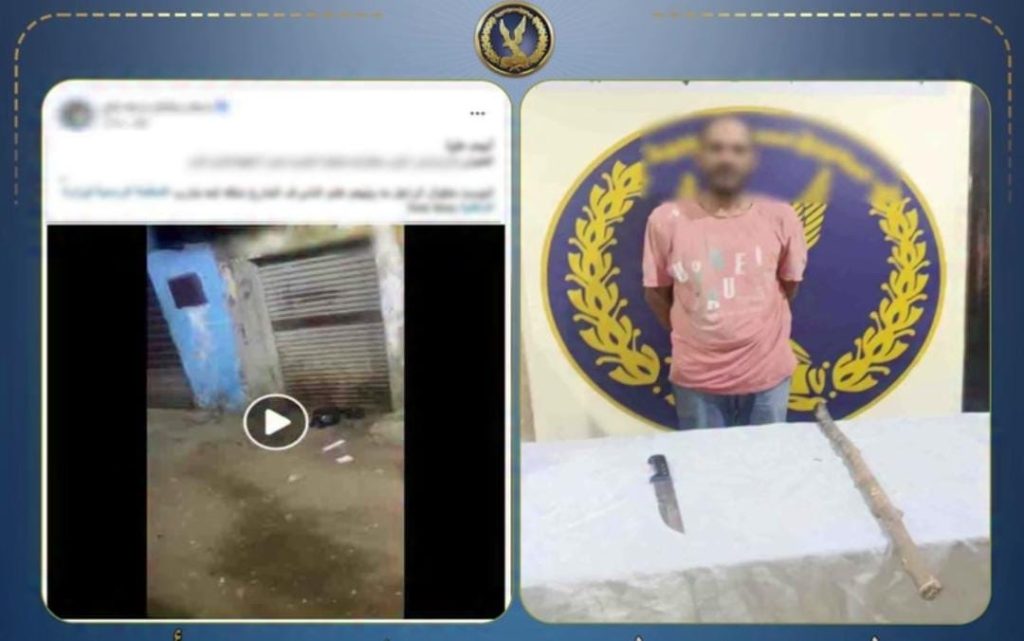 أخبار مصر - الداخلية تكشف ملابسات فيديو البلطجة في القليوبية.. وضبط المتهم والسلاح المستخدم