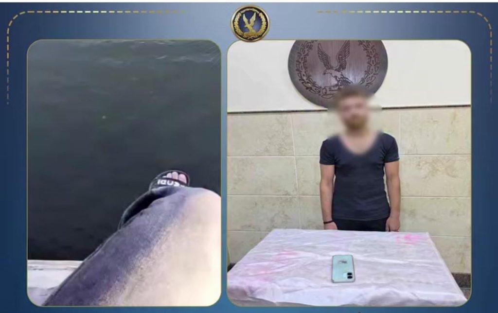 أخبار مصر - الضائقة النفسية وراء الواقعة.. كشف ملابسات فيديو شاب حاول الانتحار أعلى سور مجرى مائي بالبحيرة