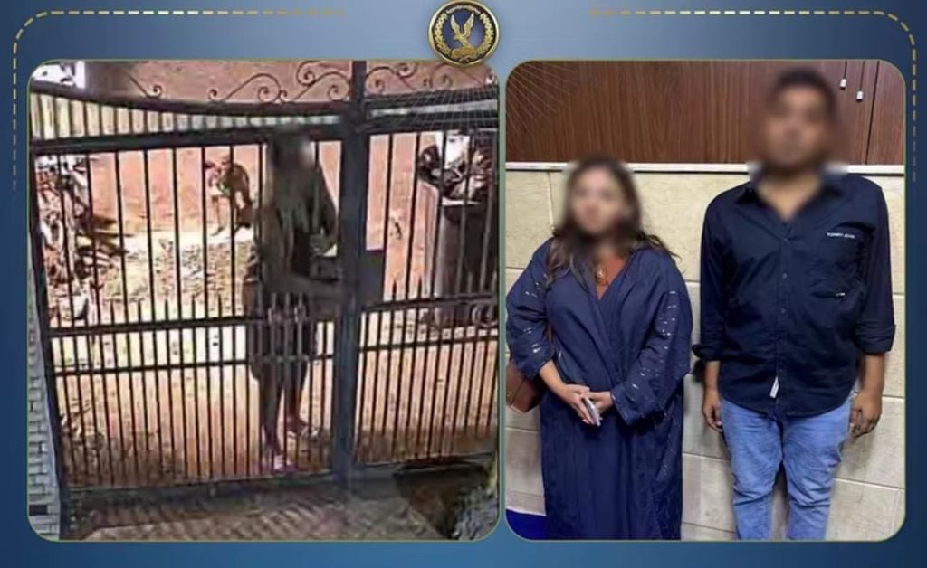 أخبار مصر - «جارى مش ضابط».. مفاجأة تكشف حقيقة فيديو سيدة المقطم بعد ادعاء مثير للجدل