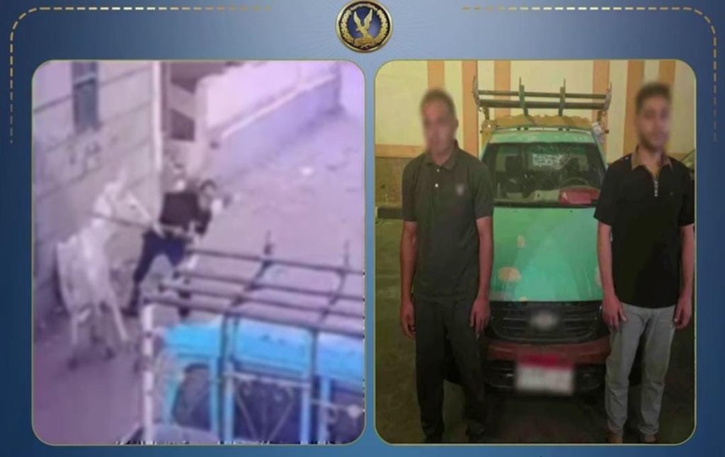 أخبار مصر - خلاف على الميراث وراء تحطيم سيارة بالحجارة في البحيرة.. والأمن يضبط المتهم