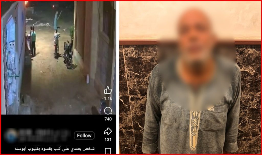 أخبار مصر - بسبب عقر زوجته.. خفير ينهال على كلب بالعصا ومباحث قليوب تكشف التفاصيل