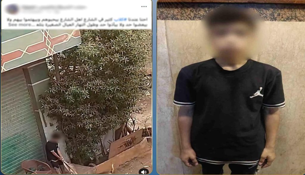 ضبط عاطل بعد ظهوره في فيديو يعتدي على كلب بالقليوبية أخبار مصر - ضبط عاطل بعد ظهوره في فيديو يعتدي على كلب بالقليوبية