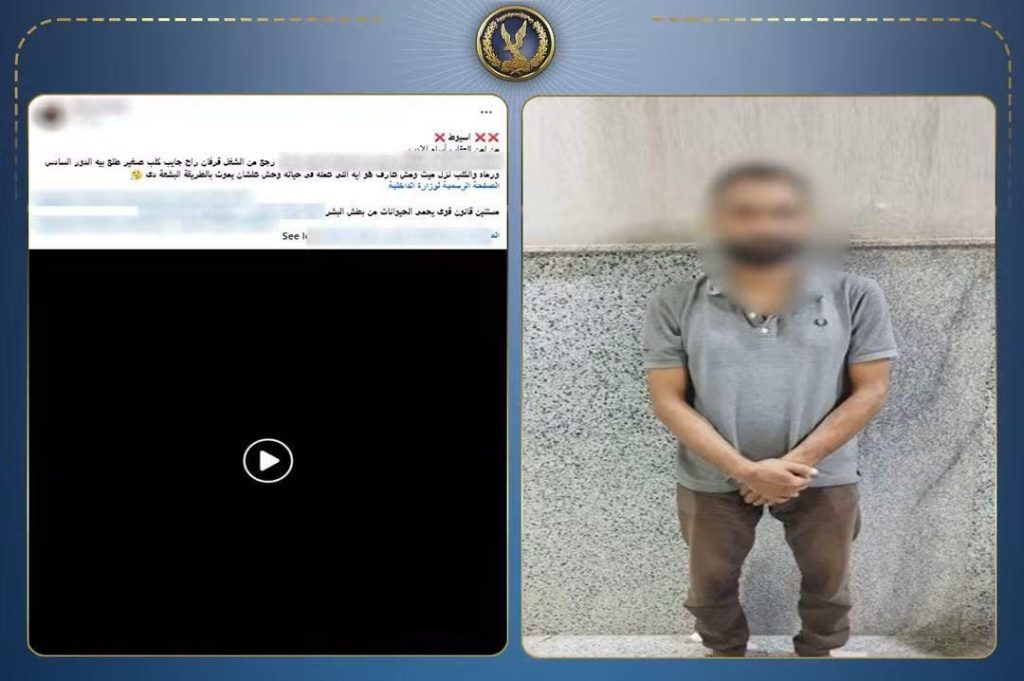 بسبب ضغوط العمل.. شخص يلقي كلبًا من الطابق السادس بأسيوط والأمن يكشف التفاصيل أخبار مصر - بسبب ضغوط العمل.. شخص يلقي كلبًا من الطابق السادس بأسيوط والأمن يكشف التفاصيل