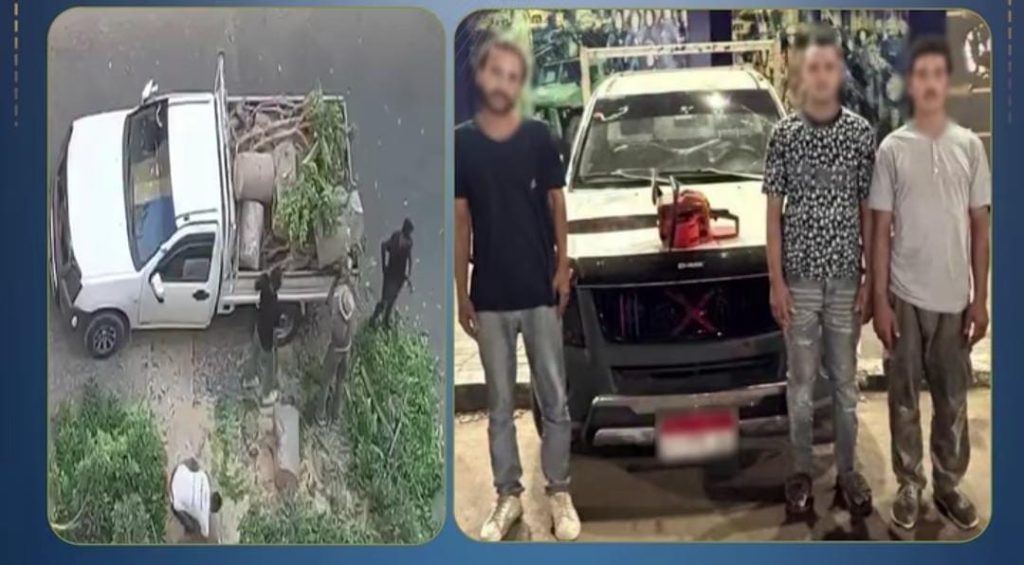 بالمنشار وعلى مرأى الجميع.. ضبط 4 أشخاص بتهمة تقطيع أشجار وتحميلها على «ربع نقل» بالإسكندرية أخبار مصر - بالمنشار وعلى مرأى الجميع.. ضبط 4 أشخاص بتهمة تقطيع أشجار وتحميلها على «ربع نقل» بالإسكندرية