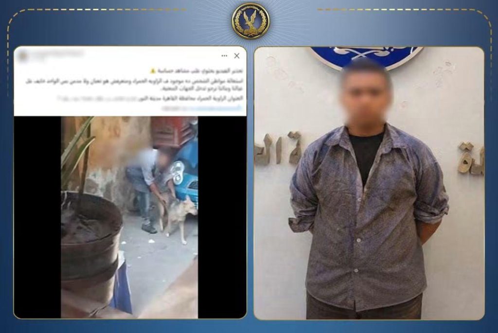 أخبار مصر - فيديو يثير الغضب.. كشف ملابسات واقعة التعدي على كلب ضال بالقاهرة