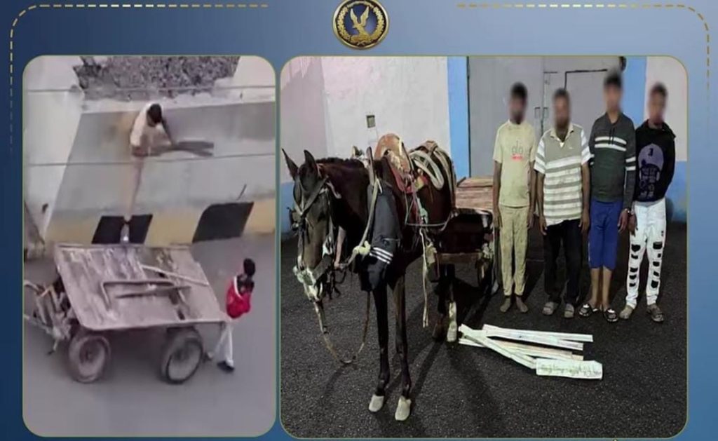 أخبار مصر - ضبط 3 عاطلين سرقوا مهمات السكك الحديدية بالشرقية وفروا بـ«عربة كارو»