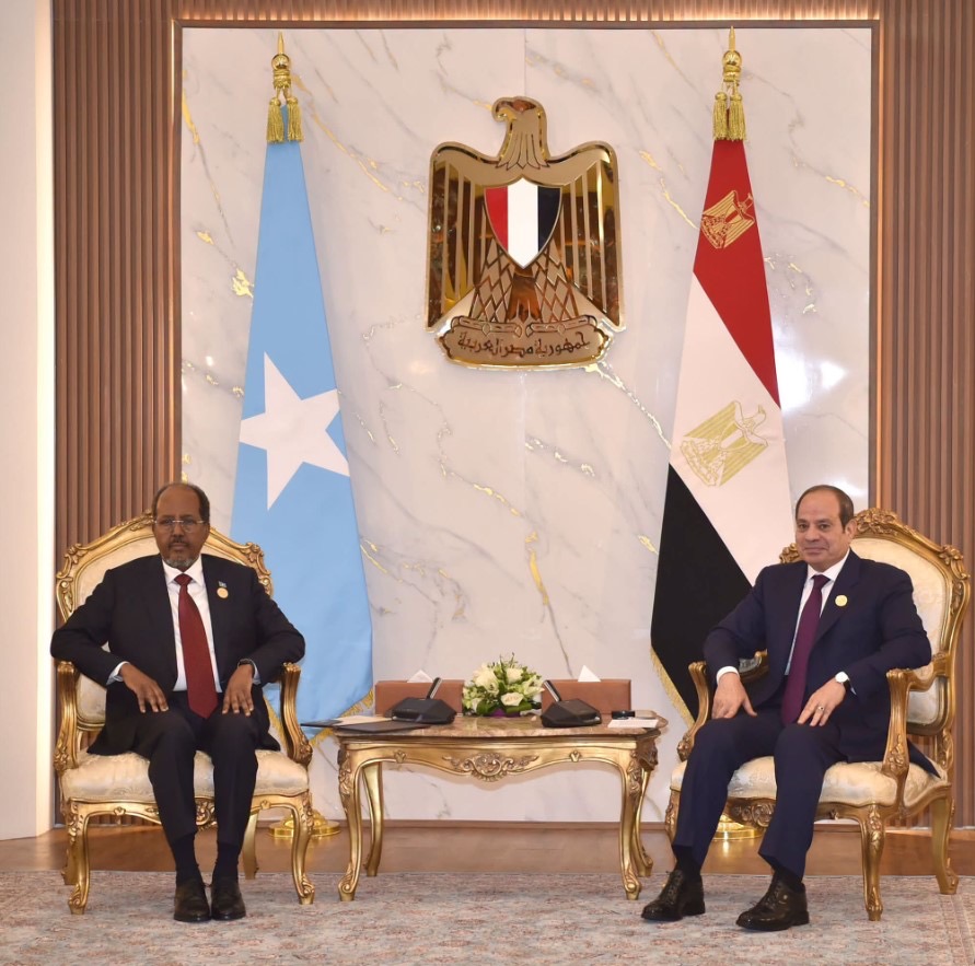 الرئيس السيسي يُؤكد دعم مصر للحفاظ على وحدة وسلامة الأراضي الصومالية أخبار مصر - الرئيس السيسي يُؤكد دعم مصر للحفاظ على وحدة وسلامة الأراضي الصومالية